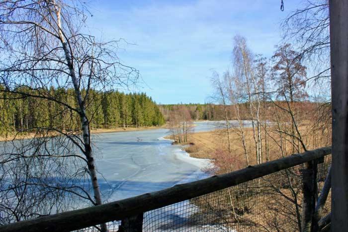 Tretopphytter Pa Grensen - Beverhytta Med Robat Og Gjeddefiske Halden Luaran gambar