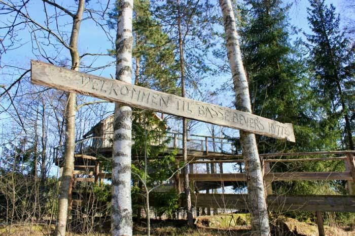 Tretopphytter Pa Grensen - Beverhytta Med Robat Og Gjeddefiske Halden Luaran gambar